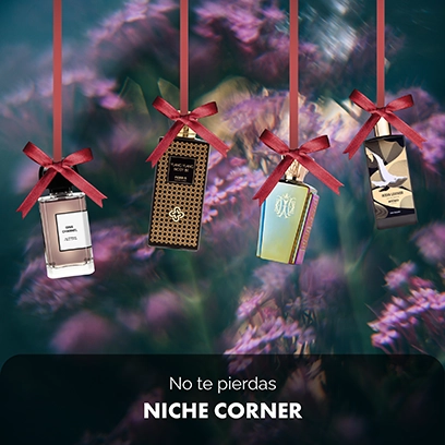 No te pierdas NICHE CORNER