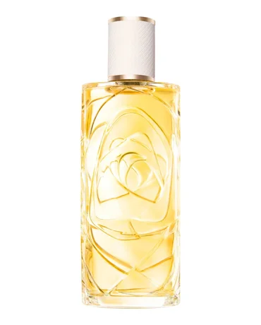 Znith 100 ml 65 €